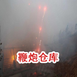鞭炮仓库看影片APP工程